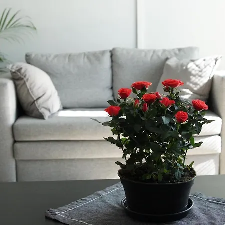 2room In Amazing Place, Free Parking 오울루
